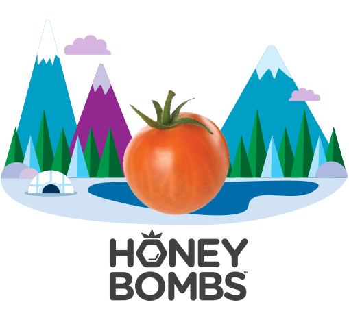 Honey bombs wonder